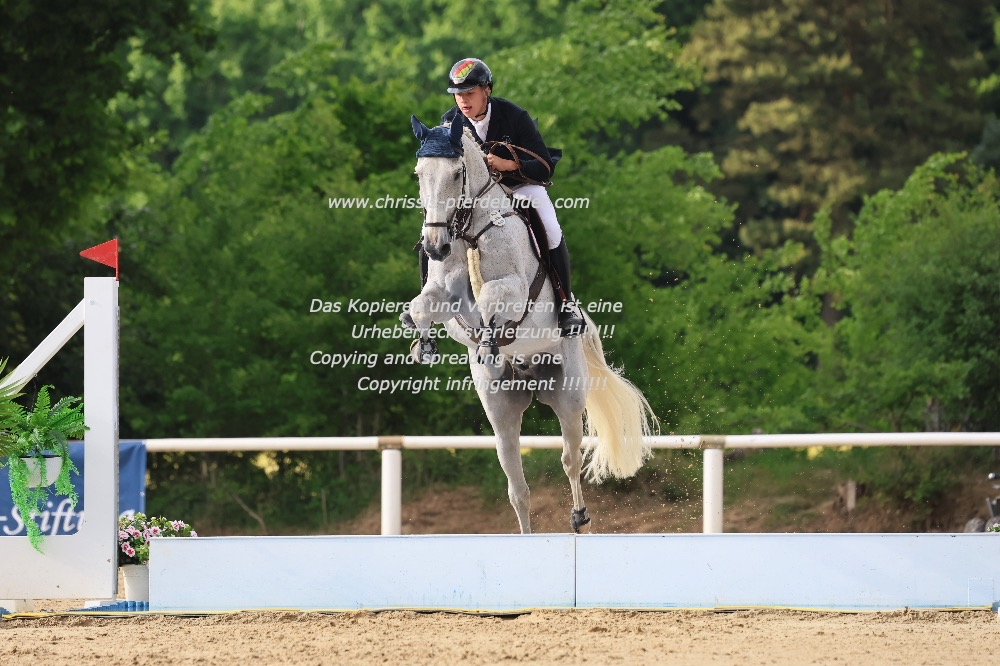 Preview lennard tillmann mit cicero s boy z IMG_2210.jpg
